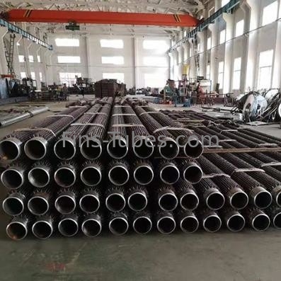 De de Hoge Precisie Petrochemische industrie 219mm van DELLOK Beslagen Pijp
